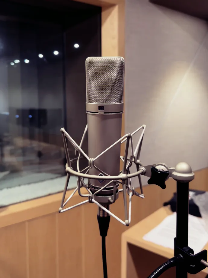 Neumann U87 in the recording booth